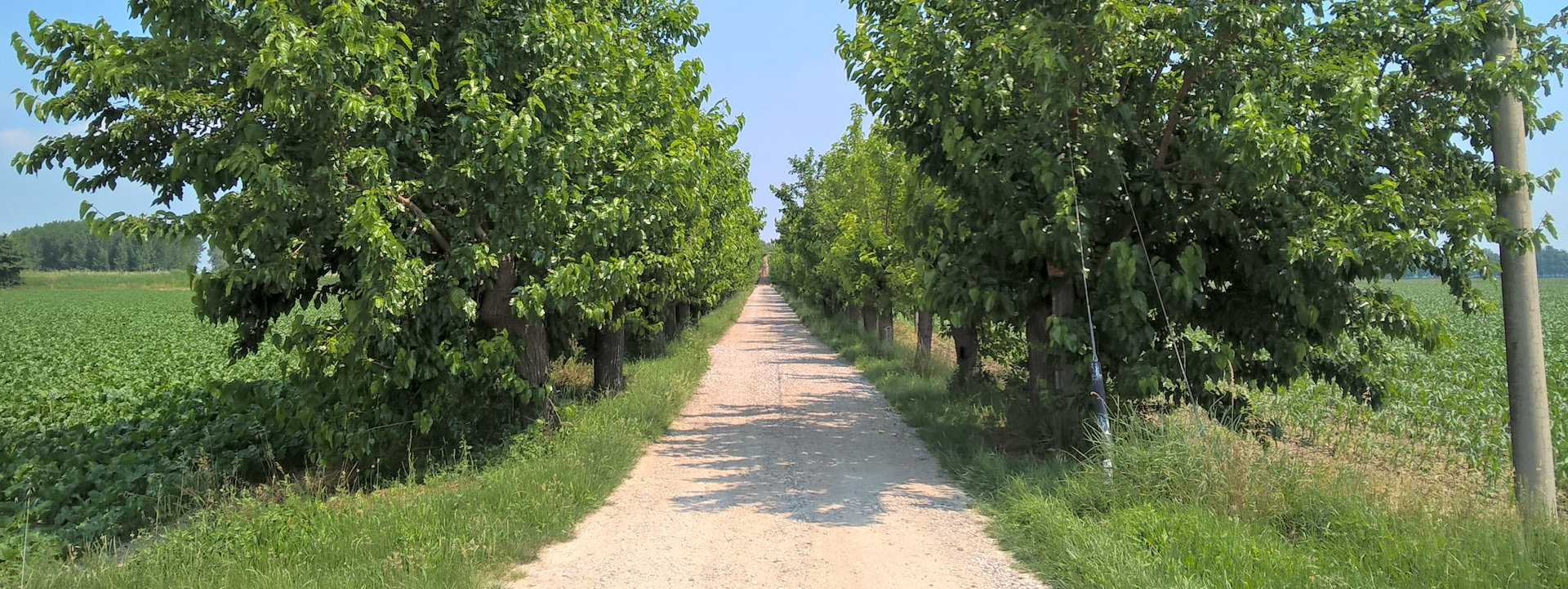Strada Tezzon Caorle