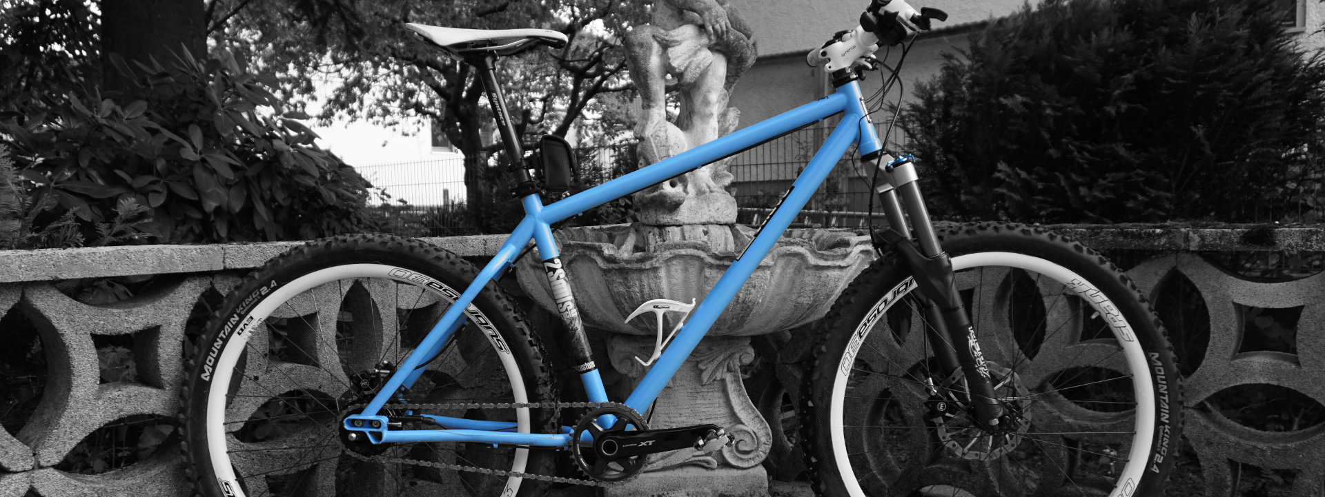 2Souls Cycles Custom MTB