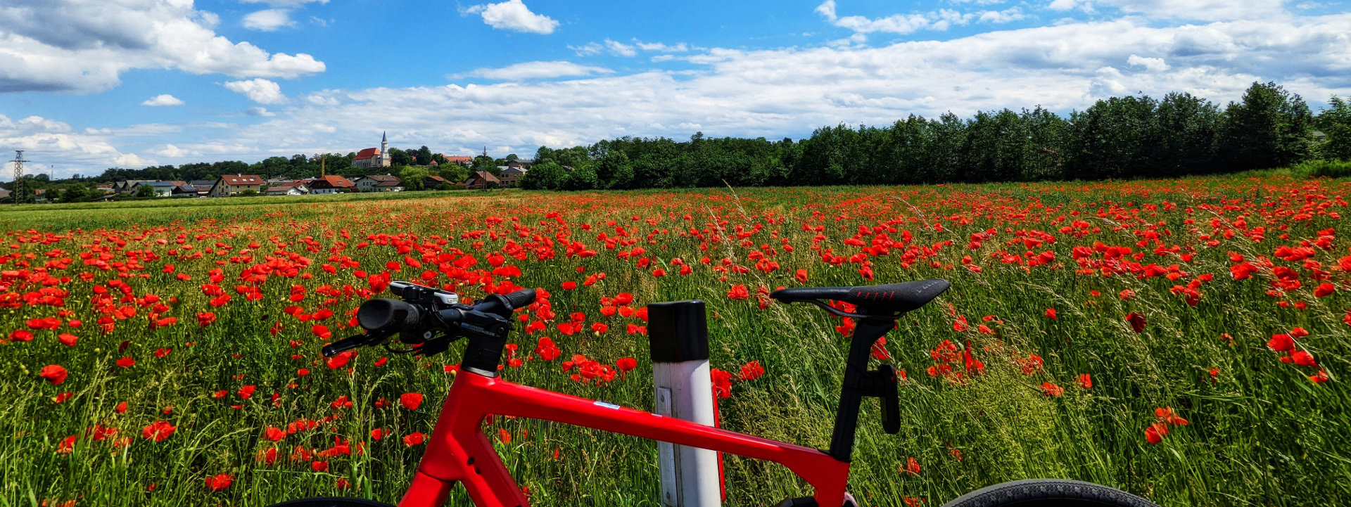 Mohnfeld mit Blick Ranshofen