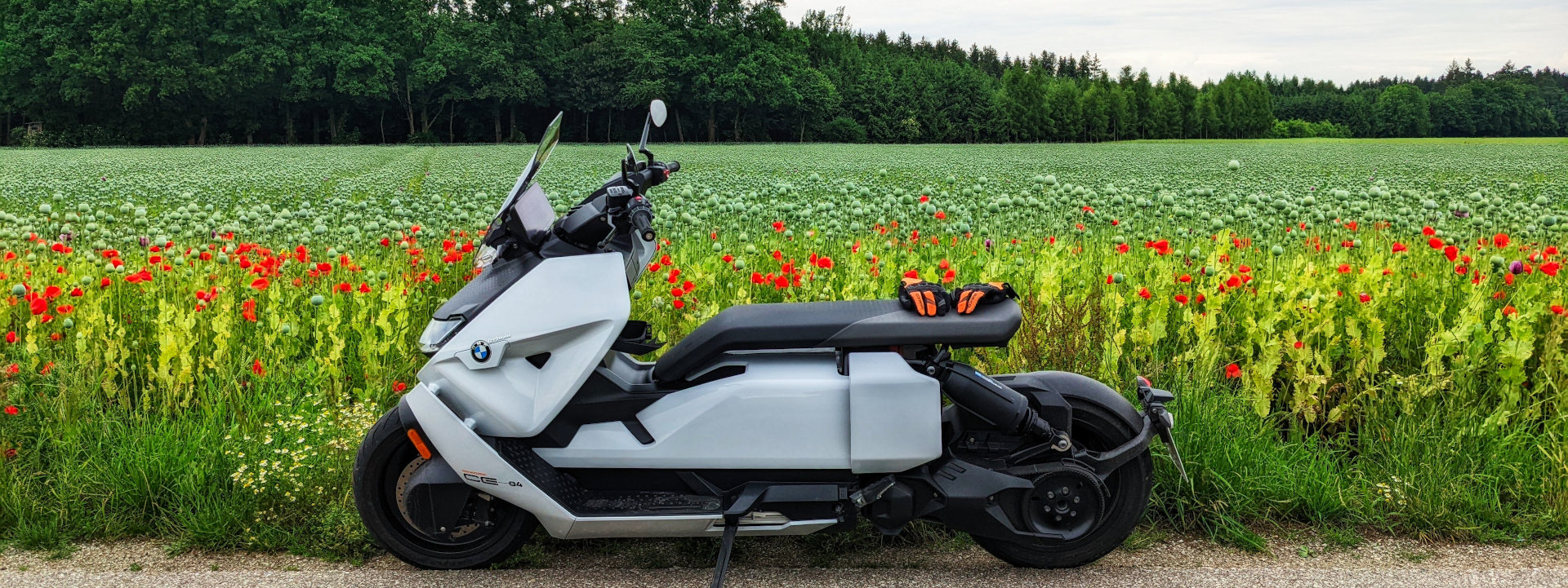 Mohnfeld bei Weng im Innkreis