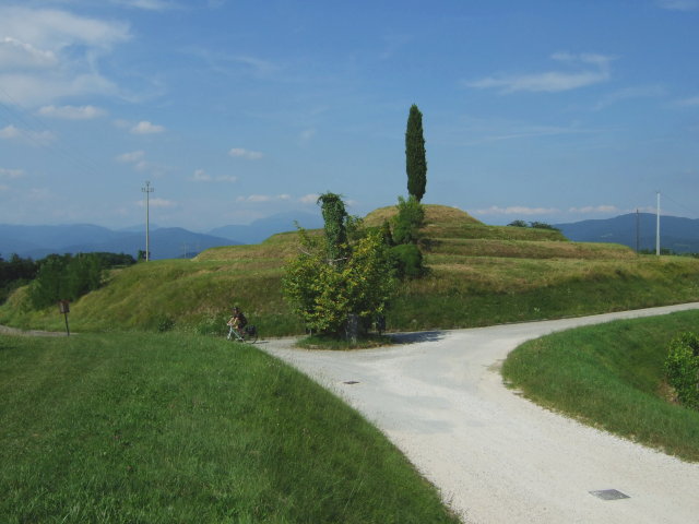 Vineyard near Cividale del Friuli