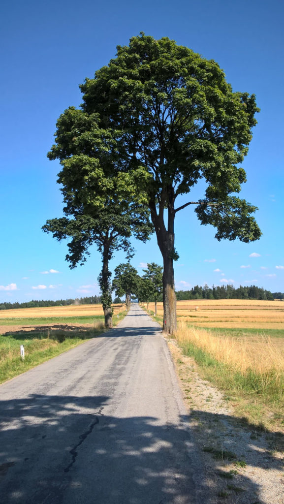 Radtour in Richtung Niederösterreich