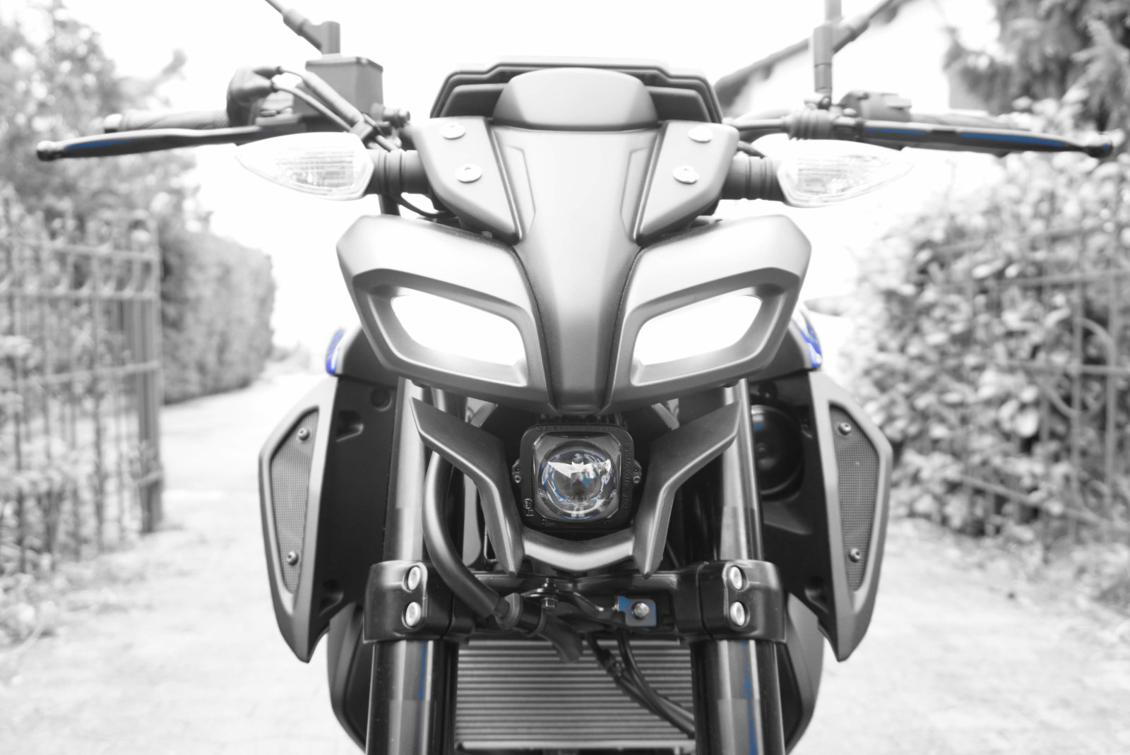 Yamaha MT125 2020 Icon Blue Front