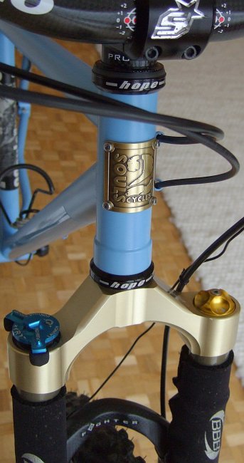 2Souls Cycles Rahmen: Steuerrohr, Logo, Pace RC40F Gabelbrücke gold eloxiert