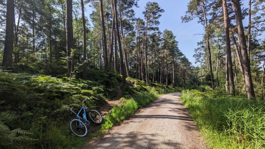 Vormittagsrunde mit dem MTB