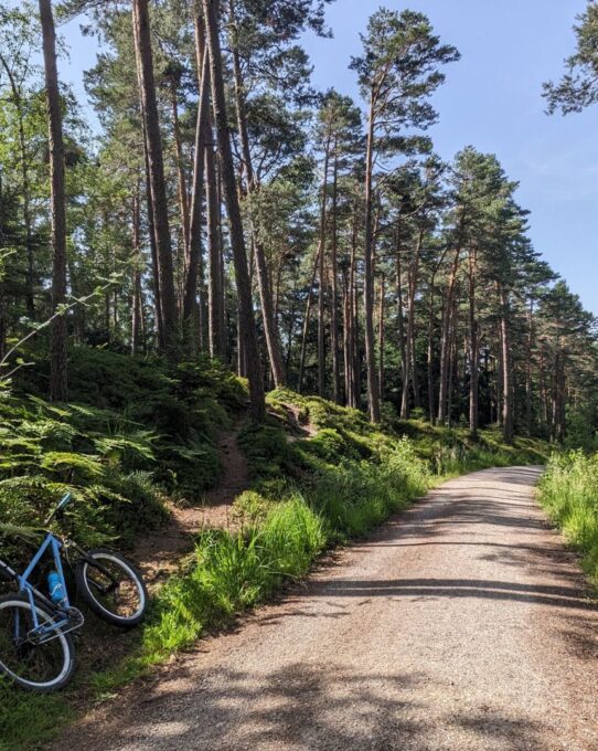 Vormittagsrunde mit dem MTB