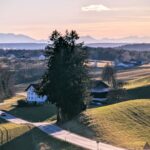 Blick von der Stelzhamer Kapelle Richtung Süden