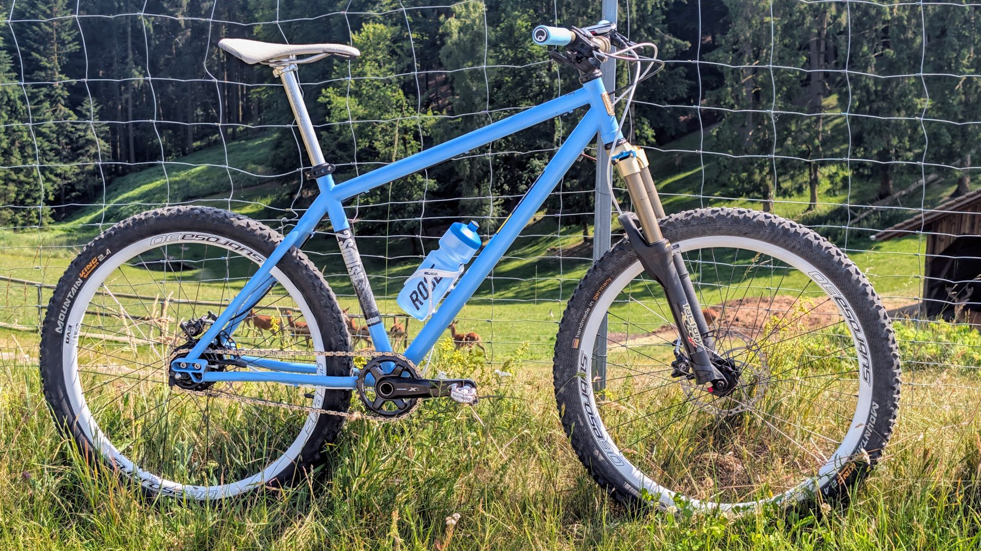 Mein 2008er 2souls Custom Stahl-Hardtail